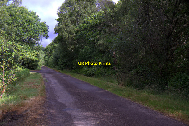 Photo 6"x4" Minor road near Cambusmore, Loch Fleet Little Torboll c2014