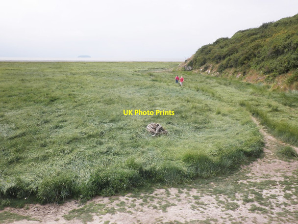 Photo 6"x4" Salt marsh at the north end of Sand Bay Kewstoke c2014
