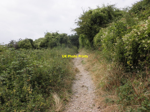 Photo 6"x4" Path to Sand Point Kewstoke c2014