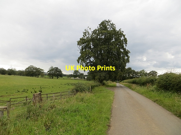 Photo 6"x4" Millwell Road Auldhouse c2014