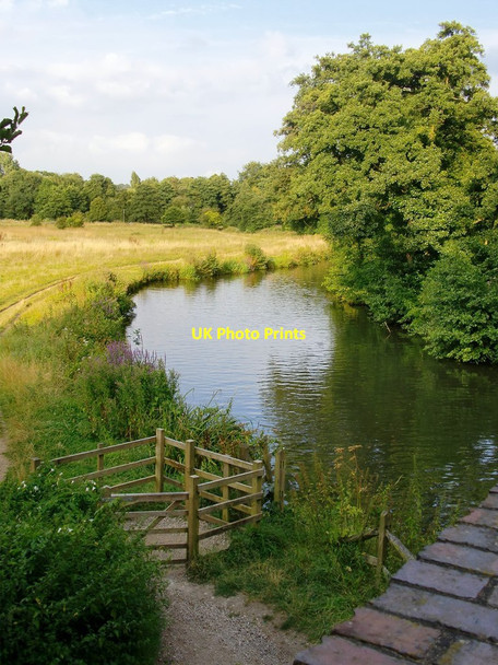 Photo 6"x4" The Wey Navigation, seen from the old Horsham line railway bridge Broadford\/SU9946 c2014