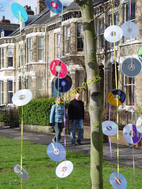 Photo 6"x4" Musical Tree, Westbourne Avenue, Hull Kingston upon Hull c2004