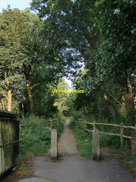 Photo 6"x4" Cycle-track along an old railway embankment Broadford\/SU9946 c2014