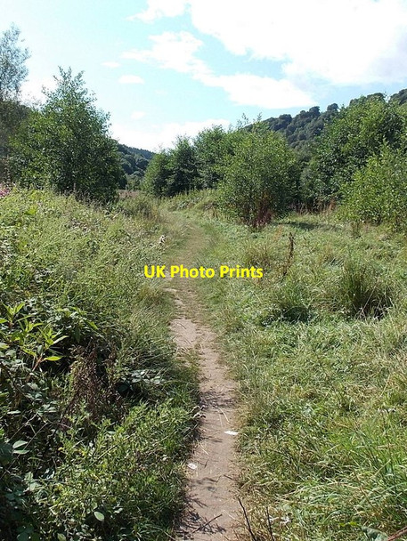 Photo 6"x4" Track along the west bank of the Wye, Symonds Yat West Great Doward c2014
