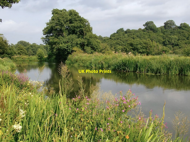 Photo 6"x4" The Godalming Navigation Godalming c2014