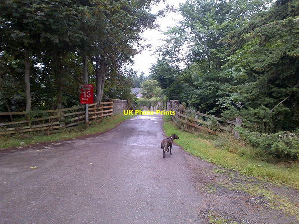 Photo 6"x4" Weak bridge over the railway at Balconie, Evanton Evanton\/Baile-Eoghain c2014