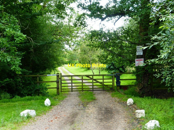 Photo 6"x4" The drive to Whipley Manor Littlefield Common c2014