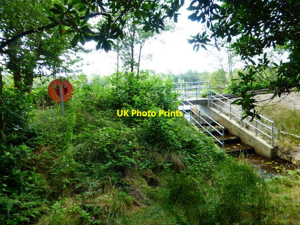Photo 6"x4" Outflow from Henleypark Lake Willey Green c2014