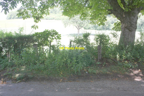 Photo 6"x4" Hedge on north side of Battle Road Cleeve\/SU6081 c2014