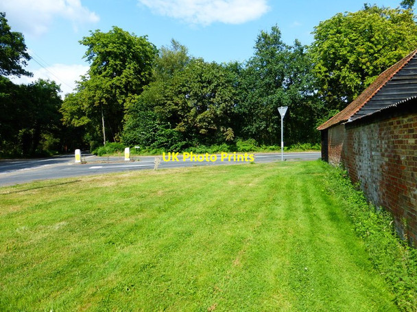 Photo 6"x4" Approaching Ash Road along the verge by Aldershot Road Pirbright c2014