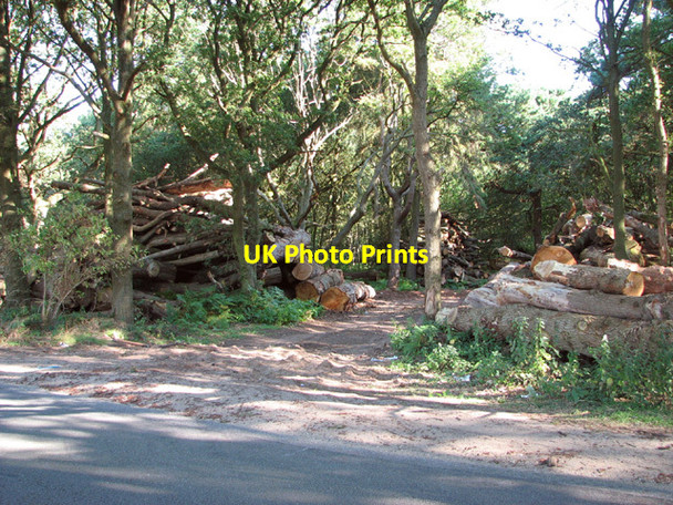 Photo 6"x4" Timber stacked on the edge of Eccles Wood Eccles Road c2014
