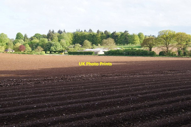 Photo 6"x4" View of Bradley Farm Popham\/SU5543 c2014