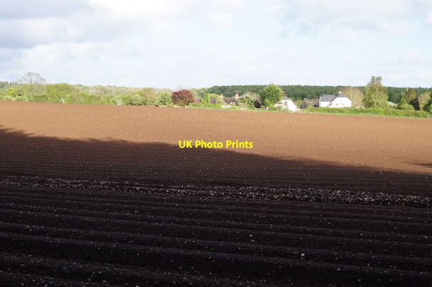 Photo 6"x4" Well prepared farm land Popham\/SU5543 c2014