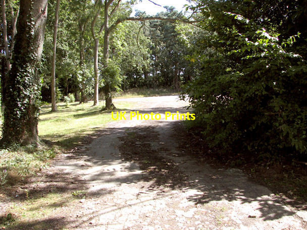 Photo 6"x4" Old concreted road Egmere c2014