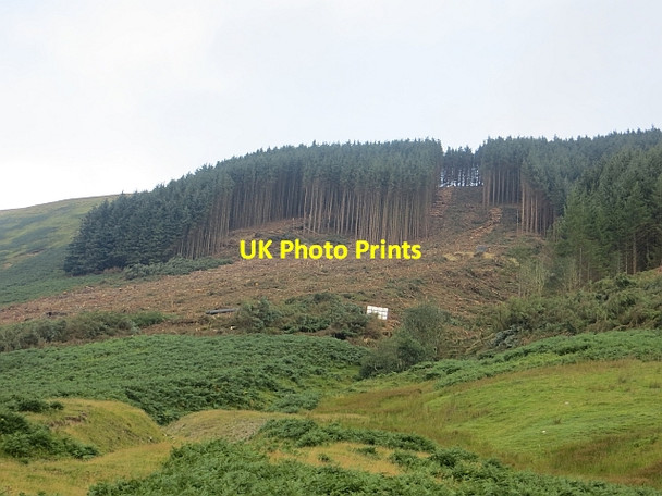Photo 6"x4" Felling, Paper Hill Paper Hill\/NT2117 c2013
