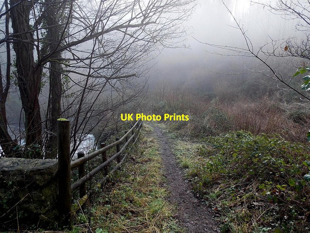 Photo 6"x4" Track to Glyn Wood and Tintern Chapel Hill\/SO5200 c2014