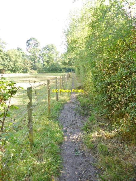 Photo 6"x4" Moyles Court, Avon Valley Path Mockbeggar\/SU1609 c2014