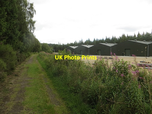 Photo 6"x4" Strathspey Railway trackbed, Tamdhu Knockando c2014