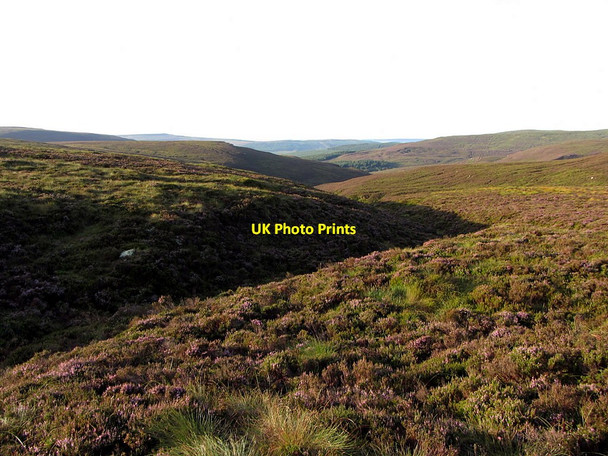 Photo 6"x4" Tributary of Black Needle burn Knox Knowe c2014