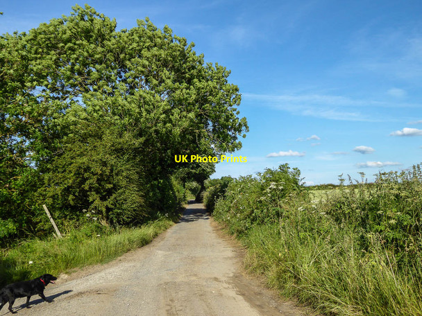 Photo 6"x4" Outgang Lane, Thornton-le-Dale, Yorkshire Ellerburn c2014