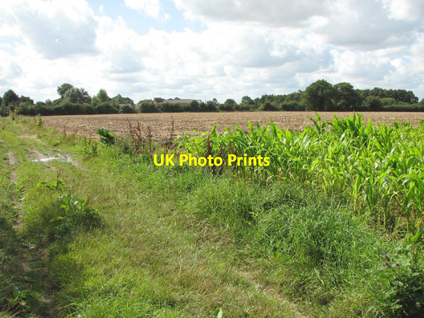 Photo 6"x4" View towards Hall Farm Billingford\/TM1678 c2014