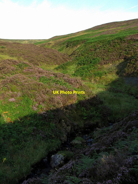 Photo 6"x4" View up the valley of Green Needle Haggie Knowe c2014