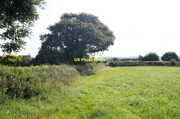 Photo 6"x4" Footpath approaching Petrockstowe North Town\/SS5109 c2014