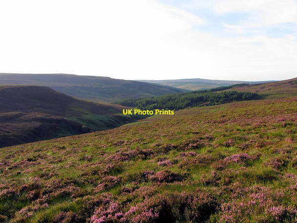 Photo 6"x4" Moorland south-west of ridge on Haggie Knowe Haggie Knowe c2014