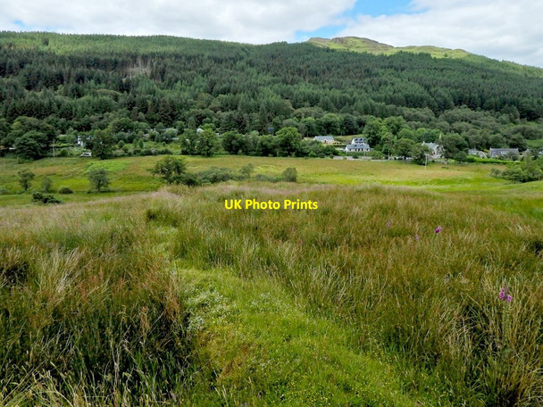 Photo 6"x4" The top of the Witches' Ring Tarbet\/NN3104 c2014