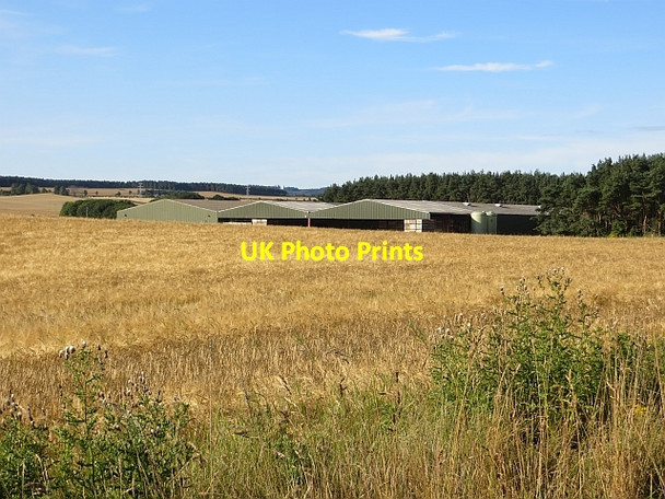 Photo 6"x4" New farm buildings Alves c2014