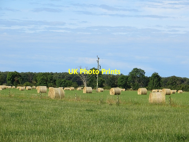 Photo 6"x4" Round bales, Middlefield Forres c2014