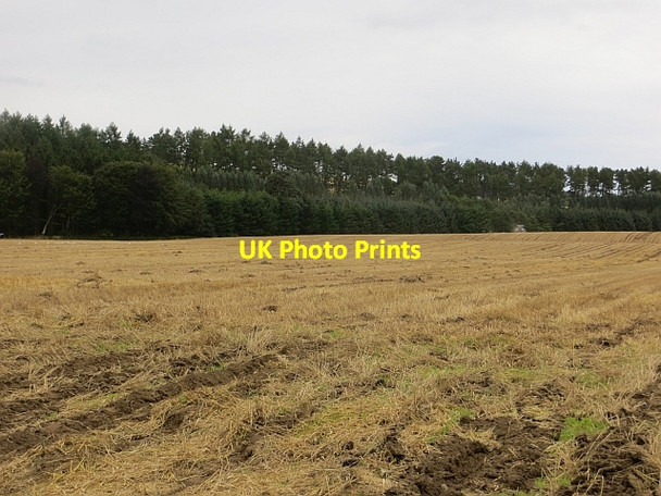 Photo 6"x4" Arable land, Spittlefield Spittalfield c2013