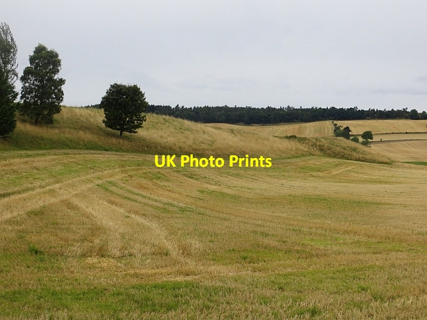 Photo 6"x4" Stubble, Wester Drumatherty Spittalfield c2013
