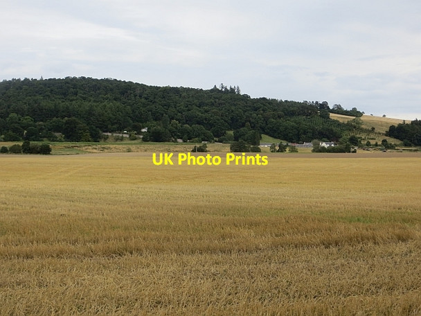 Photo 6"x4" Stubble, Easter Drumatherty Kirkton of Lethendy c2013