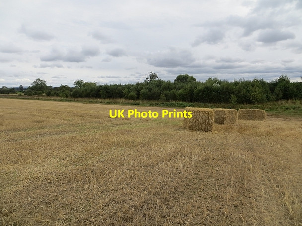 Photo 6"x4" Square bales Spittalfield c2013