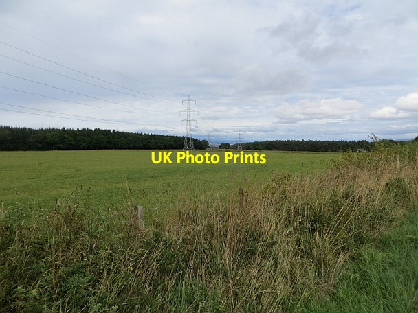 Photo 6"x4" Grass field, Gallowhill West Whitefield c2013