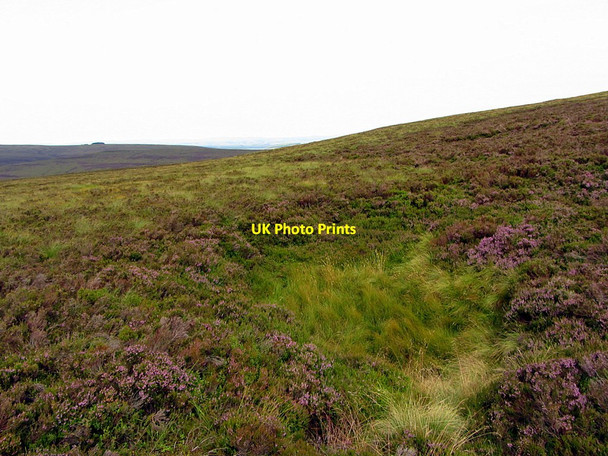 Photo 6"x4" Sink hole, Limestone Knowe Limestone Knowe c2014