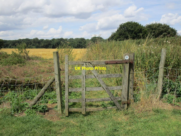 Photo 6"x4" The beginning of the bridleway to Tusmore Hardwick\/SP5729 c2014