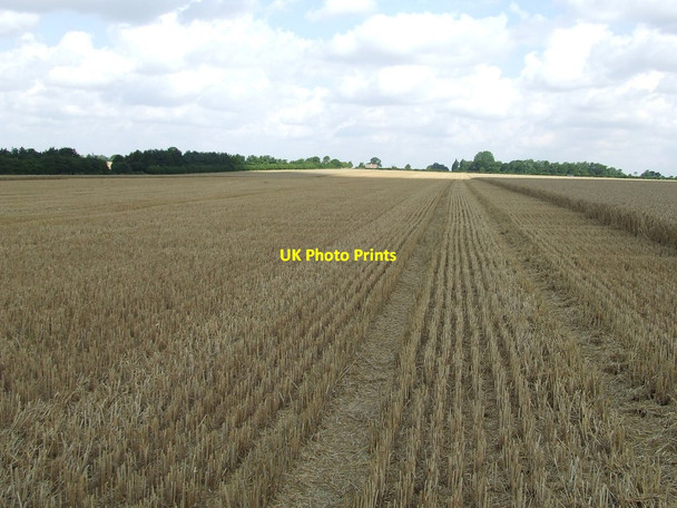 Photo 6"x4" Partially Cut Field Framlingham c2014