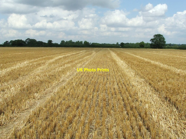 Photo 6"x4" Harvested Field Dennington\/TM2867 c2014