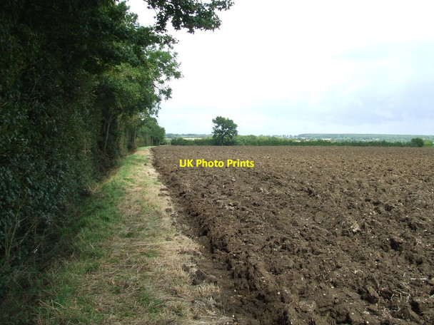 Photo 6"x4" Field Boundary Cransford c2014