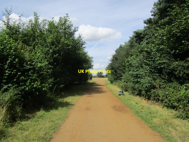 Photo 6"x4" Bridleway by Fox Covert Cottisford c2014