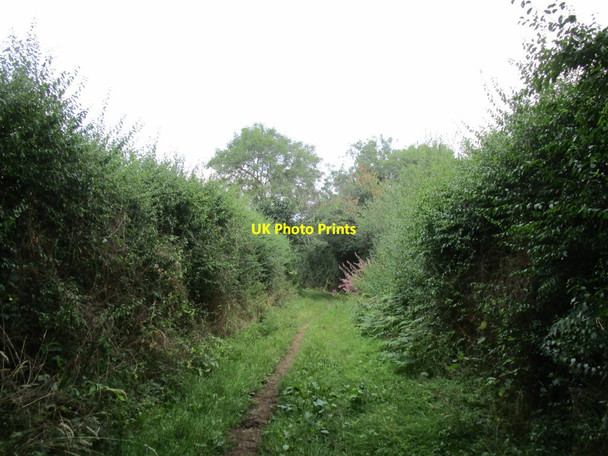 Photo 6"x4" Bridleway to Hardwick Hardwick\/SP5729 c2014
