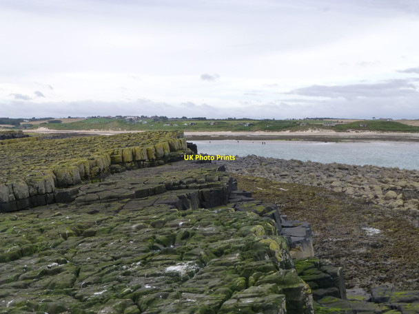 Photo 6"x4" View from Emblestone Low Newton-by-the-Sea c2014