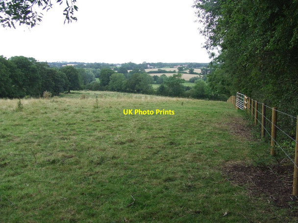 Photo 6"x4" View From The Top Bruisyard c2014