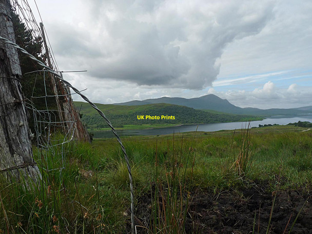 Photo 6"x4" Forest edge above Loch Naver, Sutherland Coill Ach' a' Ch\u00f9il c2014