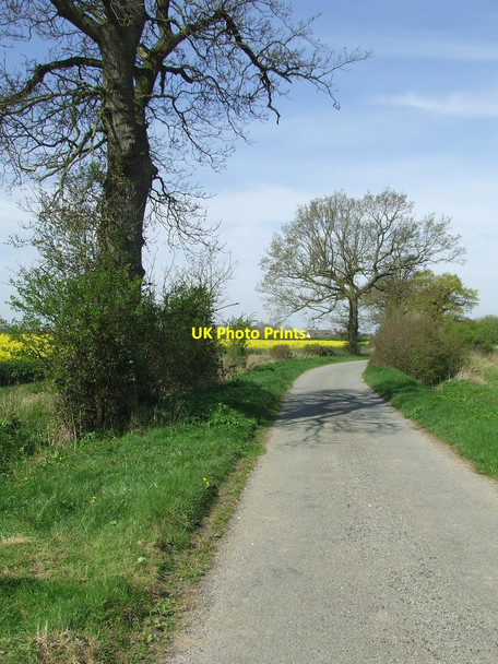 Photo 6"x4" Country Lane Dennington Hall c2014
