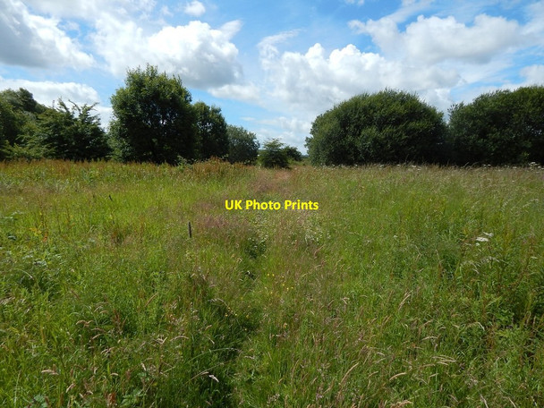 Photo 6"x4" Rough ground beside Blackstoun Road Paisley c2014