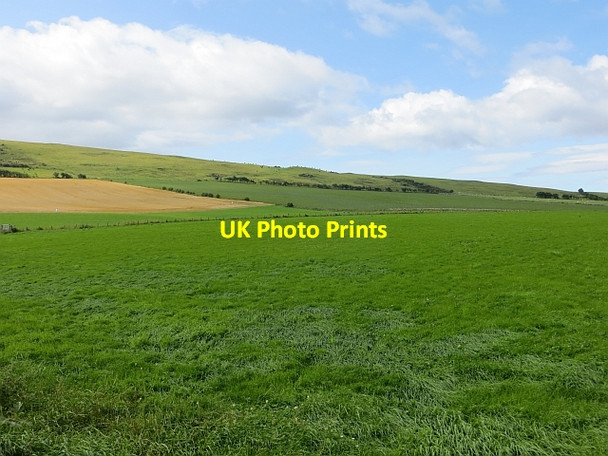 Photo 6"x4" Grass, Gennoch Fisherton\/NS2616 c2014