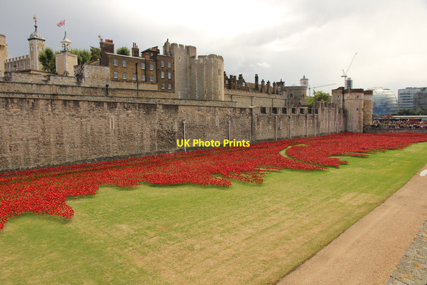 Photo 6"x4" Tower poppies London c2014
